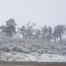 금천독일맑은보청기 이미지