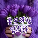 오늘의 날씨 (11월 9일 일요일) (718기 D-5) (719기 입영대기) 이미지