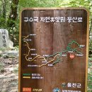 경북 울진 구수곡에서 폭염을 이겨낸 구수한 이야기들~... 이미지