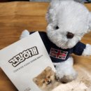 무감치킨 | 강아지 간식 치킨트릿 견강하개 수제 간식 좋아요