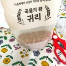 민이농장 | 국내산 민이농장 귀리 이용해서 귀리밥짓기 꼬수워라