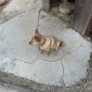 동혁농장 이미지