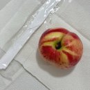 과일쟁이 | 갈우농원 신비복숭아 복켓팅 맛솔직후기