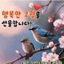 느티나무 할아버지 이미지