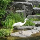 삼오행정사사무소 이미지