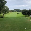 코리아CC콘도미니엄 | 코리아CC!!코리아CC회원권,매매후기!!코리아컨트리클럽!!코리아골프장.^^