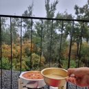 백두대간로 | 매봉산천상의 숲 숲속의 집 리뷰