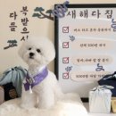 웨그독 네이버블로그