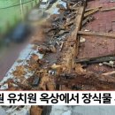동성아이별꽃유치원 이미지