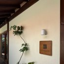 스테이 월화 | 강릉 한옥 독채숙소 월화가옥 내돈내산 방문후기