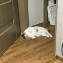 영순슈퍼