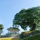 대건2농장 | 익산시 관광문화 북부권에 이색숙박시설 풍성
