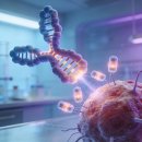 유진바이오 | 목표가 24만원! 리가켐바이오, ADC ‘안전성’으로 글로벌 짱 먹는다