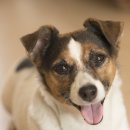 나음동물병원 이미지