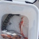 재영민박 이미지