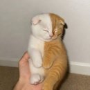 반반