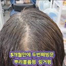 엘카라헤어&스파
