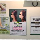 미인몽 네이버블로그