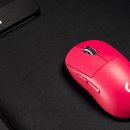 글로벌소프트웨어트레이드 이미지