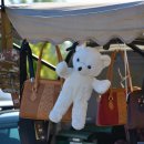 클릭-아이 이미지