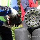 사직2동-28 이미지