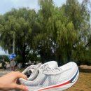 (주)뉴페이스 정직한주유소 | 내돈내산 뉴발란스 1080 v14 한달 사용 후기 !