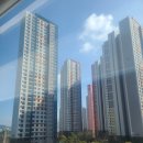유니헤어보톡스 네이버블로그