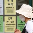 골든부동산중개사무소 네이버블로그
