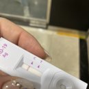 백운면반송보건진료소 | 내가 코로나확진이라니 ? 신속항원 &gt; pcr 양성 판정 격리 1-2일차