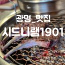 시드니램1901 이미지