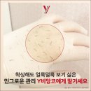 Y&헤어 이미지