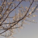 카페만디 이미지