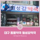 월성강약국 이미지