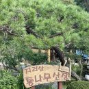 지리산통나무산장 | [산청숙소]산청 여행 지리산통나무산장