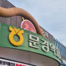 준프라자 | [문경] 약돌한우 가성비 좋은 곳 현지인 맛집 '약돌한우프라자' - 버섯불고기 전골 후기