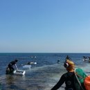 제주시 하도어촌계 이미지