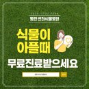실버 모델 & 자가 케어 ( 자기 관리 ) | 유망 창업아이템, 반려식물병원 300만원 창업비로 50대 실버창업 인기!