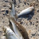 둔병마을회관 이미지