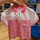 이태리구제 | 충격적인 유니클로 프란체스코리소 신상 콜라보 여성 반팔티 솔직 후기