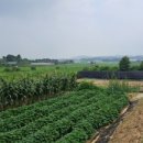 원선농장 이미지
