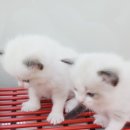 남구-037 이미지