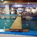 외길수산 이미지