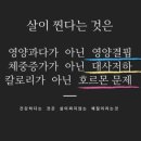 다빼드림 이미지