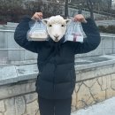 원데잇케이크 | 만25세 생일파티🥳(스시교메이, 원데잇케이크, 쪽갈비제작소, 이태원한스)