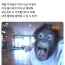 정관초등학교 | 제발 지옥 같은 여기서 날 꺼내줘