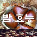 좋은밤 이미지
