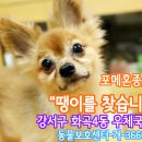 서울화곡4동우체국 이미지