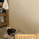 미트서산 | [광고] 서산 모그리 데이트 장소로 추천해요