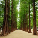 햇살이 가득한 집 펜션 이미지