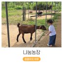 인수농장 | 경기북부 아이랑 갈만한 곳 파주 나눔농장 방문 후기 (ft. 동물 먹이주기체험)